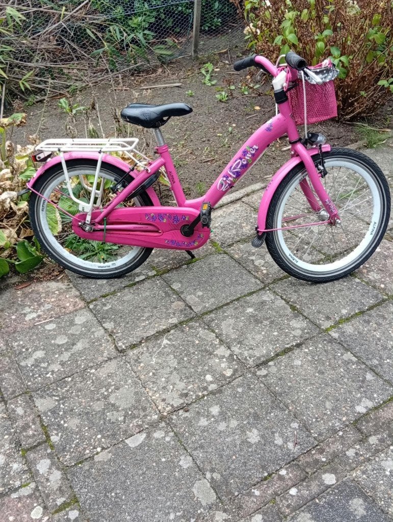 Kinderfiets, Ophalen, Terugtraprem, Alpina, 16 tot 20 inch