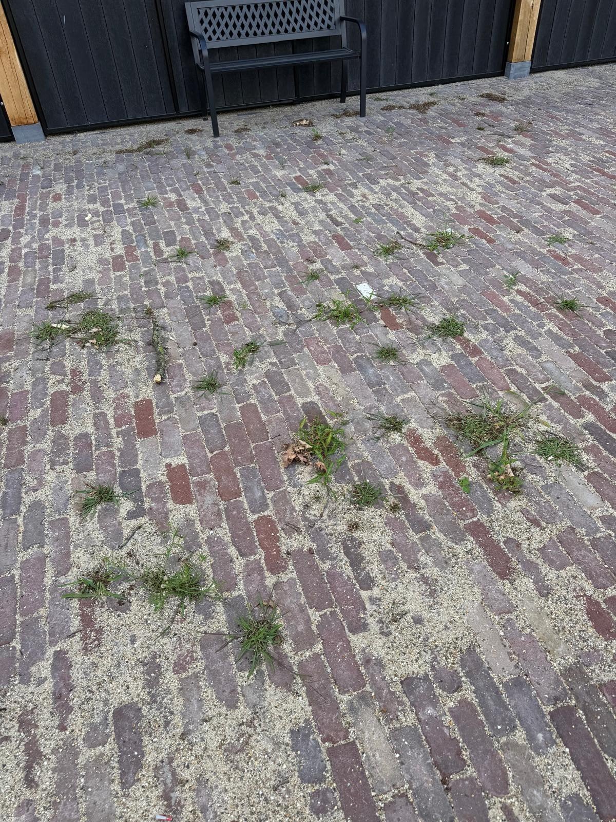 Gevraagd: Hulp in en om paardenwei