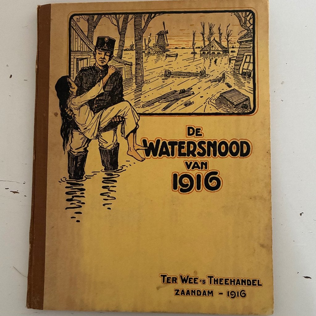 De Watersnood van 1916 - Historisch Boek Ter Wees Theehandel, Boeken, Geschiedenis | Stad en Regio, Ophalen of Verzenden, 20e eeuw of later