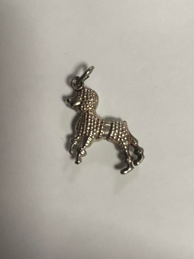 Zilveren bedel hanger poedel hond, Sieraden, Tassen en Uiterlijk, Ophalen of Verzenden, Gebruikt, Zilver