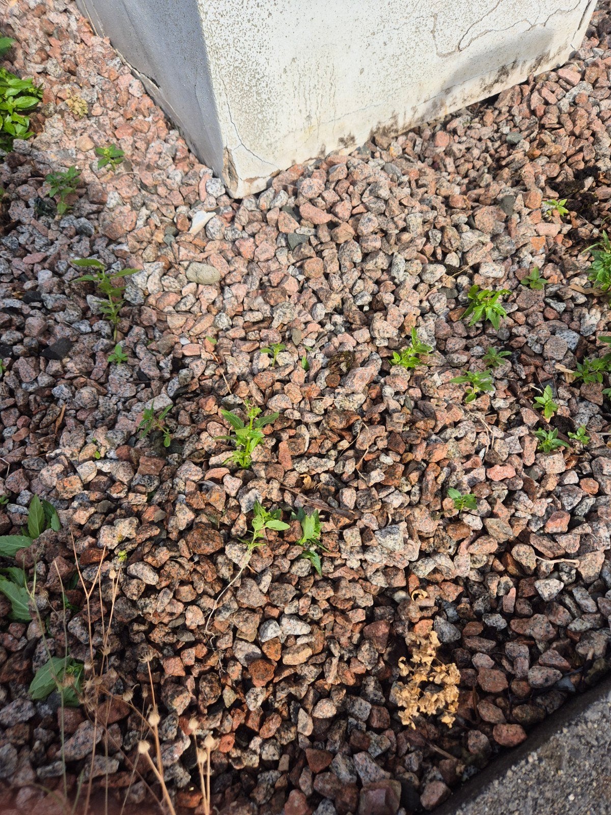 Grind gratis, Tuin en Terras, Grind, Keien en Split, Ophalen, Gebruikt, Overige materialen