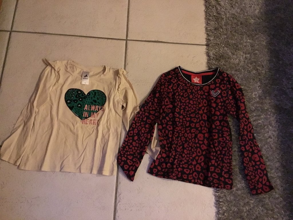 Longsleeves meisje, maat 116 en 116/122, Ophalen of Verzenden, Zo goed als nieuw, Meisje, Shirt of Longsleeve