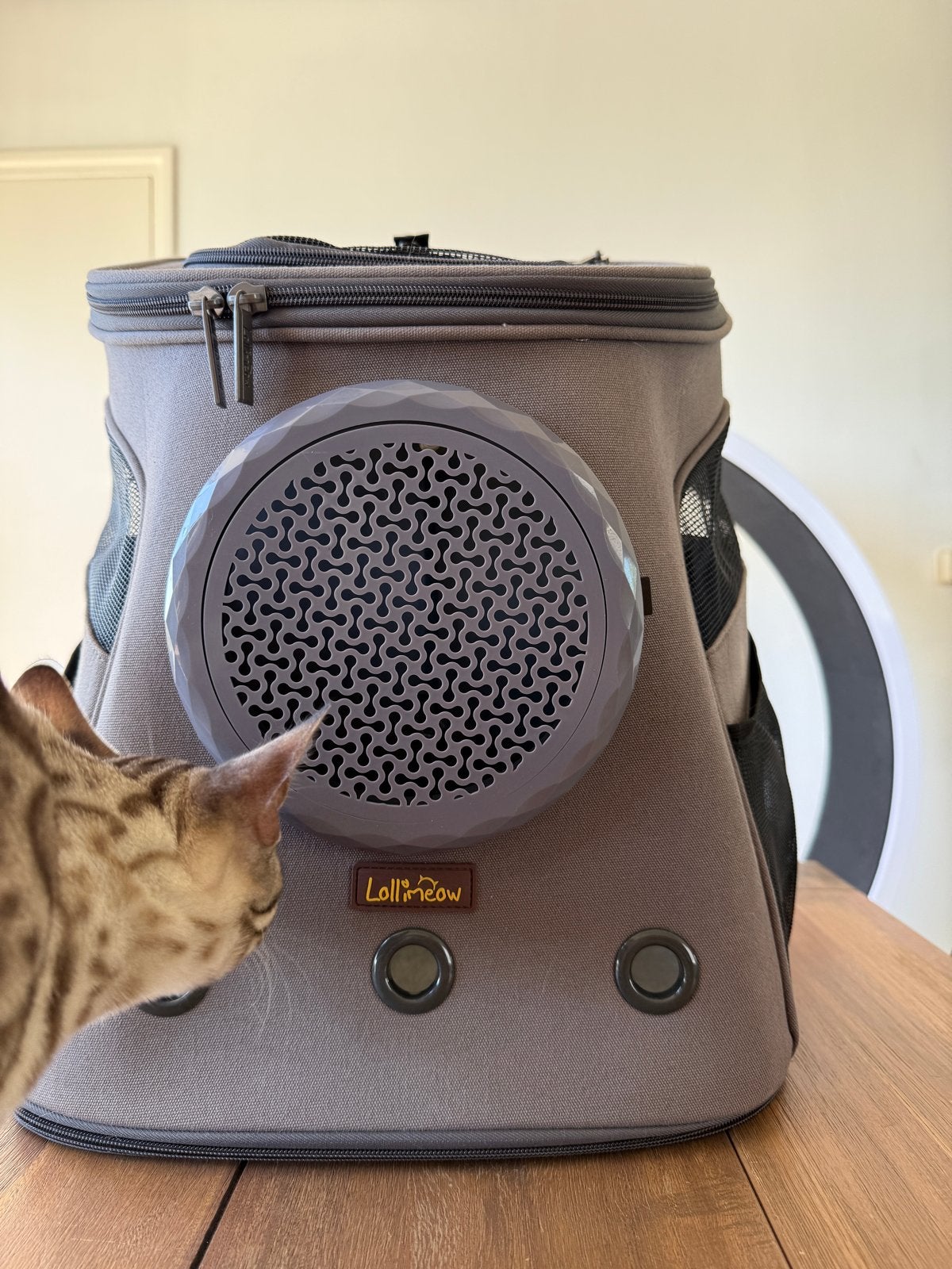 Stevige kattenrugzak Lollimeow (of kleine honden), Dieren en Toebehoren, Ophalen, Zo goed als nieuw