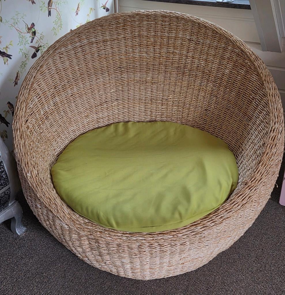 2 Rotan lounge stoelen met kussens, Ophalen, Gebruikt, 100 tot 125 cm, Stof