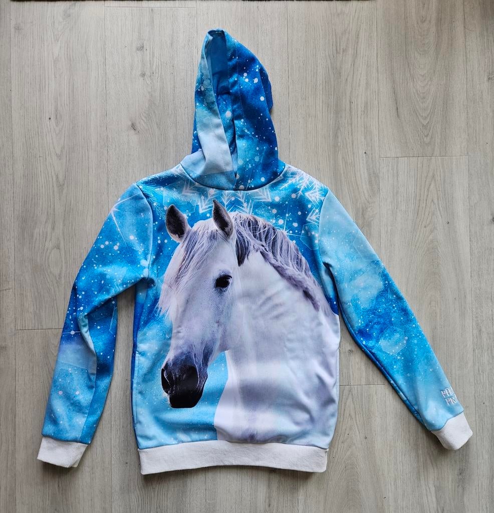 Hoodie paardenpraattv, Dieren en Toebehoren, Ophalen of Verzenden, Zo goed als nieuw, Dressuur, Bovenkleding
