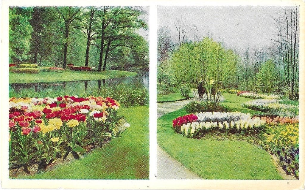 AK Lisse - Keukenhof, Verzenden, 1960 tot 1980, Ongelopen, Zuid-Holland