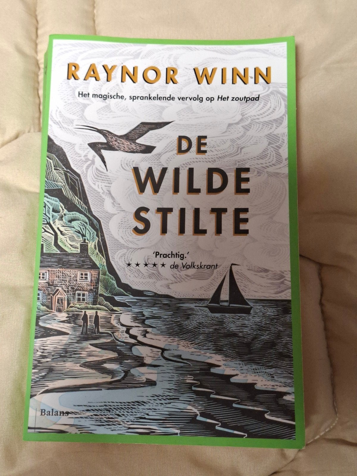 De Wilde Stilte - Raynor Winn (Het Zoutpad vervolg), Ophalen of Verzenden, Gelezen, Raynor Winn, Europa overig