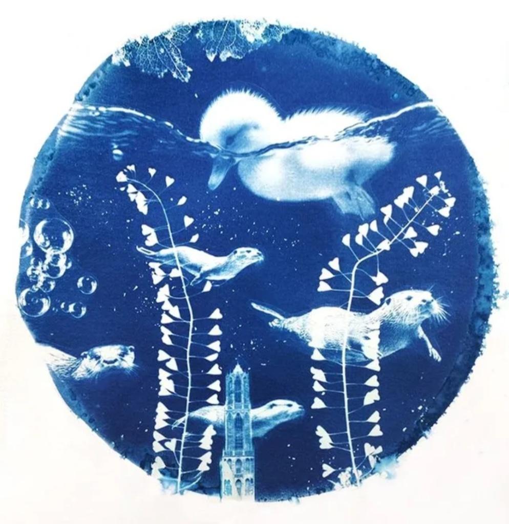 Workshop botanische blauwdruk (cyanotype), Diensten en Vakmensen, Cursussen en Workshops, Hobby of Vrije tijd