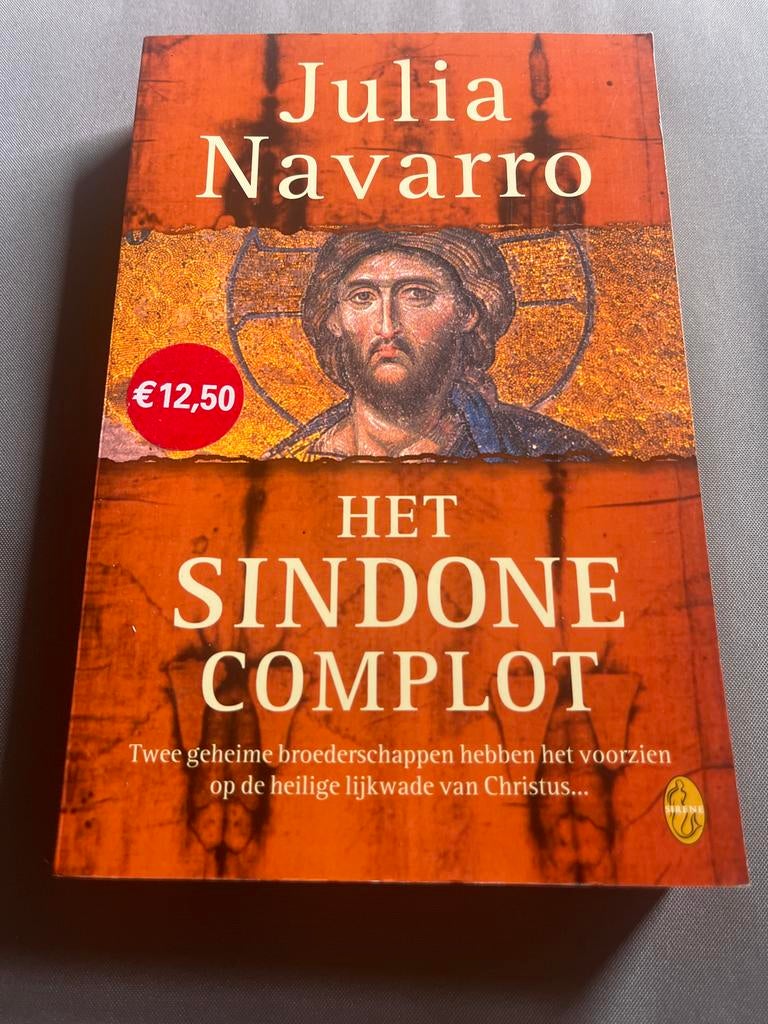 Het Sindone Complot - Julia Navarro, Ophalen of Verzenden, Zo goed als nieuw, Europa overig