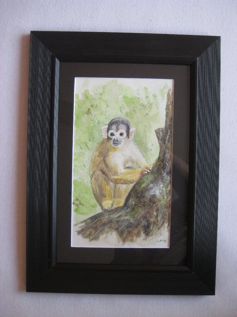 Aquarel Doodshoofd-aapje met passe-partout en lijst, Ophalen, Minder dan 50 cm, Oorspronkelijke maker, Nieuw
