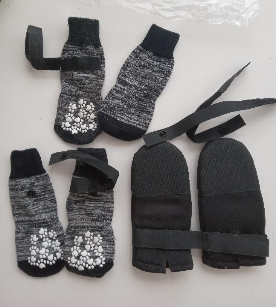 Honden sokjes, maat M, nieuw, Dieren en Toebehoren, Hondenkleding, Oosterveldweg 15, 7274 DZ, Verzenden, Nieuw, Hondensokken