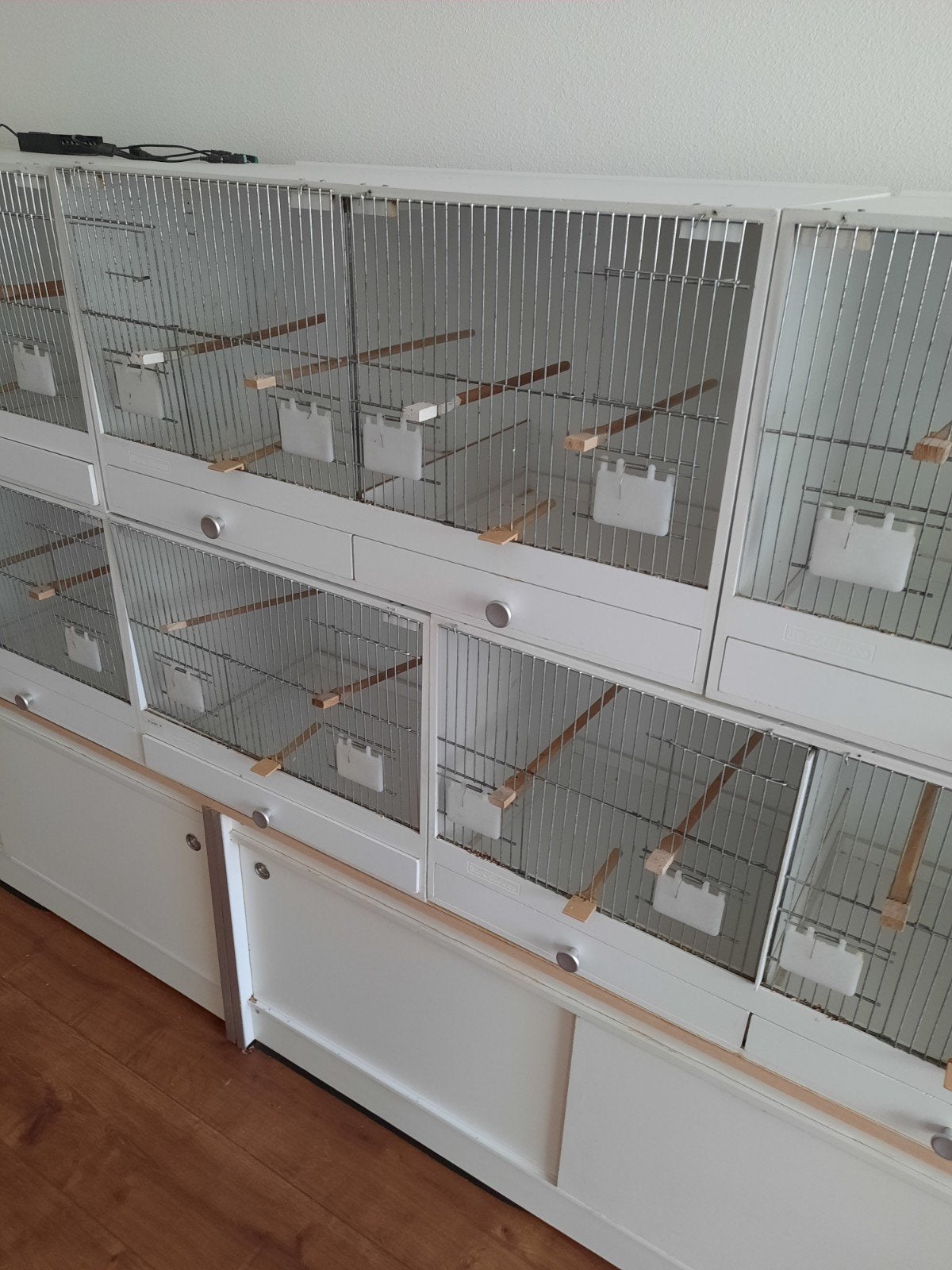 Vogelkooi, Dieren en Toebehoren, Ophalen