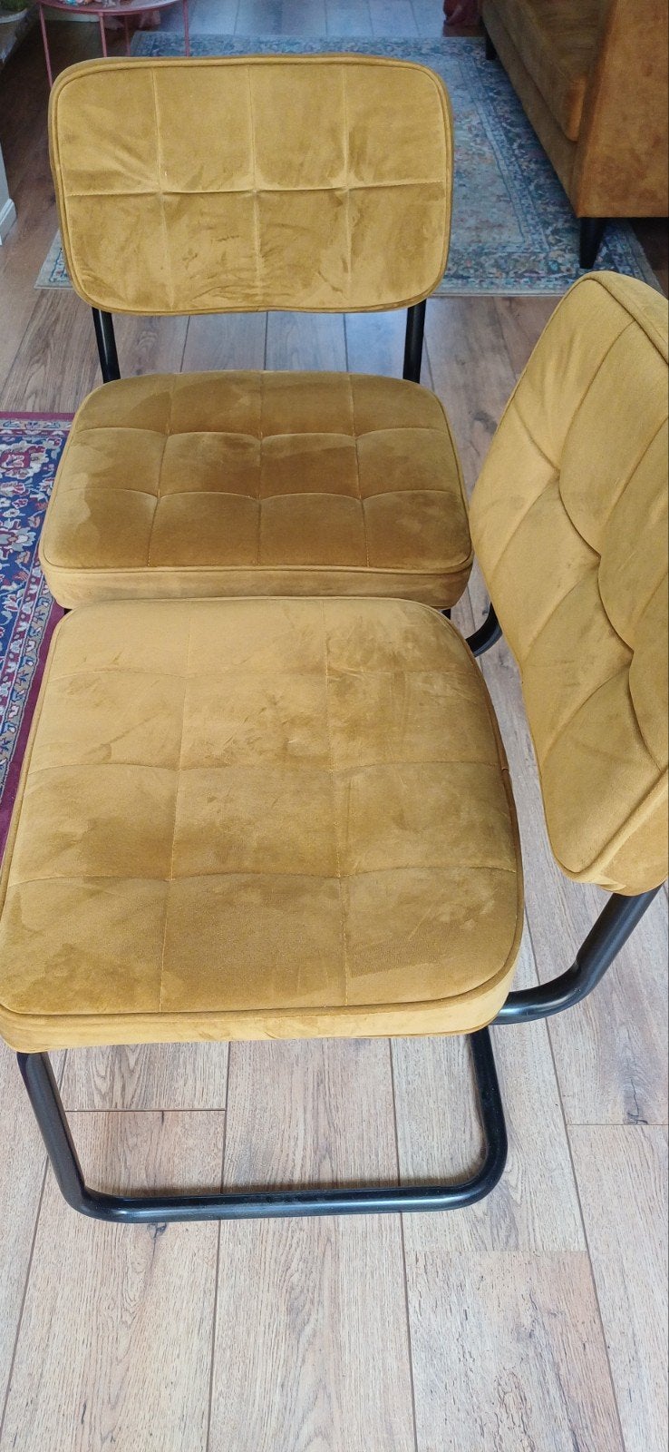 Ivy buisframe stoel kerriegeel merk Kick Collection 2 stuks, Ophalen, Overige materialen, Twee, Overige kleuren