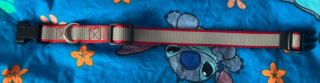 Nieuw halsband voor honden, Ophalen of Verzenden, Nieuw