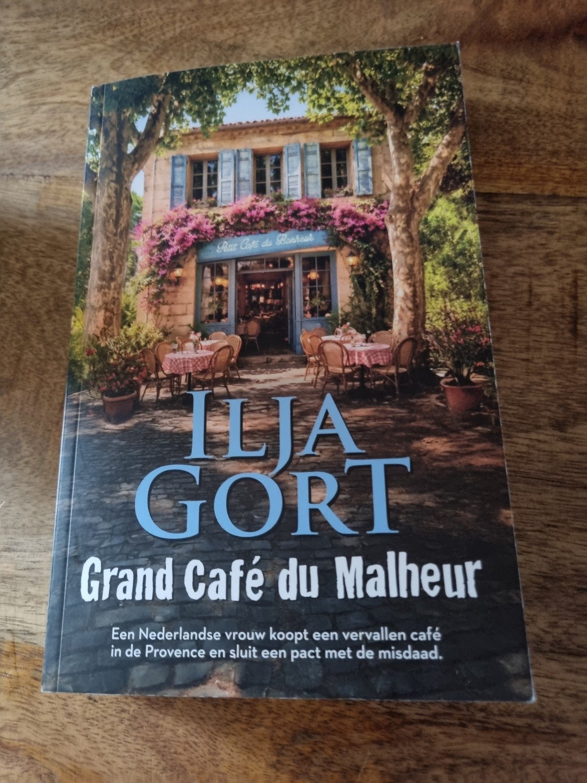 Grand Café du Malheur - Ilja Gort (Boek), Ophalen, Zo goed als nieuw, Ilja Gort, Nederland