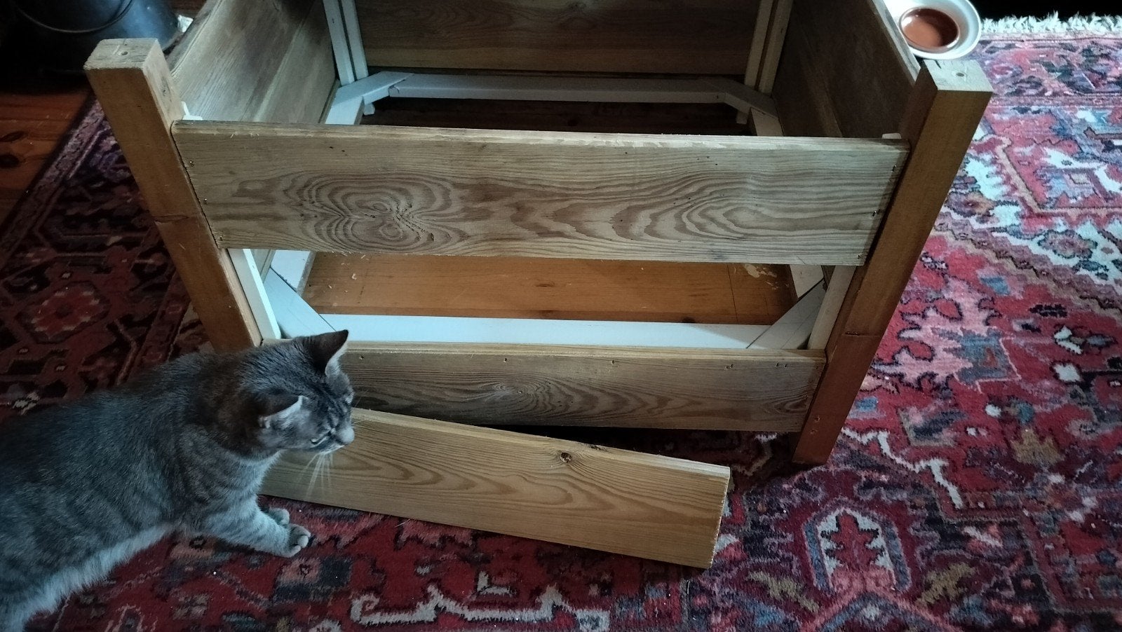 Werpkist kat gratis te ruil voor brokjes of bak korrels, Dieren en Toebehoren, Ophalen