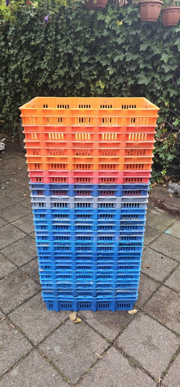 17x Geperforeerde Kunststof Kratten 59x39x15 cm - Stapelbaar, Ophalen, Gebruikt, 50 tot 75 cm, Minder dan 35 cm