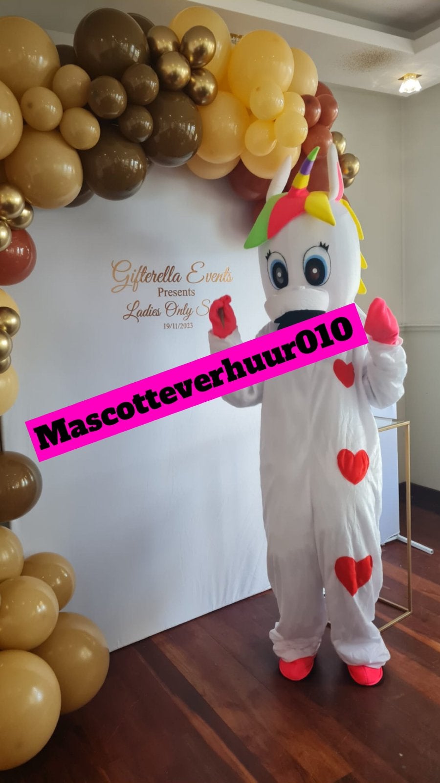 Unicorn/Eenhoorn mascotte te huur, Ophalen, Zo goed als nieuw, Verjaardag