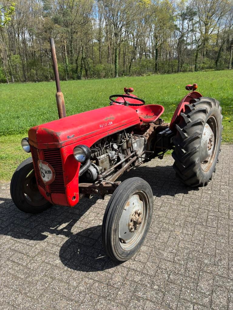 Massey Ferguson  MF Tef 20 Farmall Cub, Zakelijke goederen, Agrarisch | Tractoren, Massey Ferguson, tot 80 Pk, Oldtimer, Ophalen