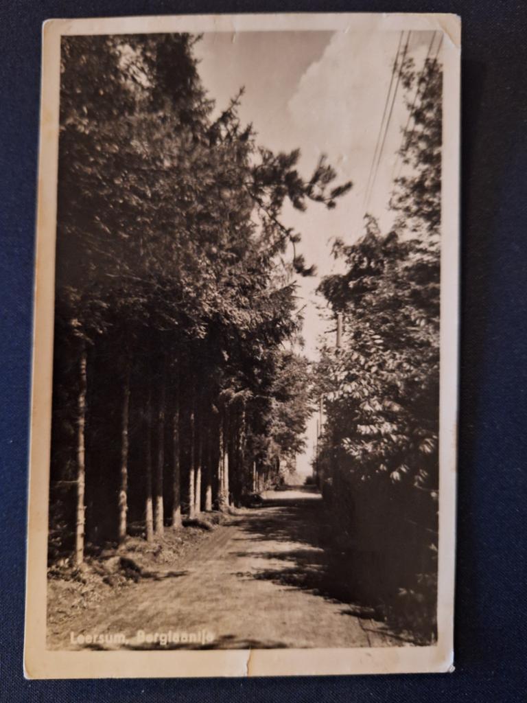 Fotokaart Leersum - Berglaantje, Ophalen of Verzenden, Gelopen, Utrecht