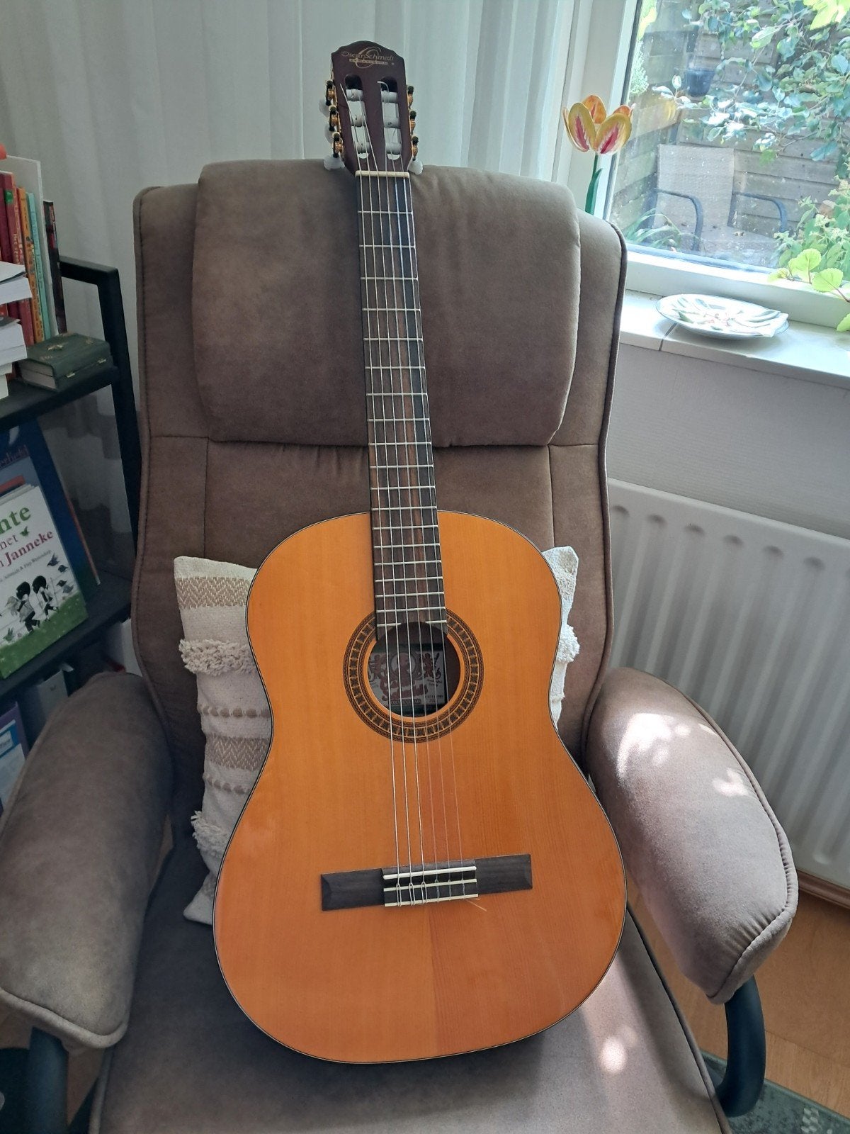 Oscar Schmidt Klassieke Gitaar OC9 met hoes, Ophalen, Zo goed als nieuw, Klassieke of Spaanse gitaar, Met koffer