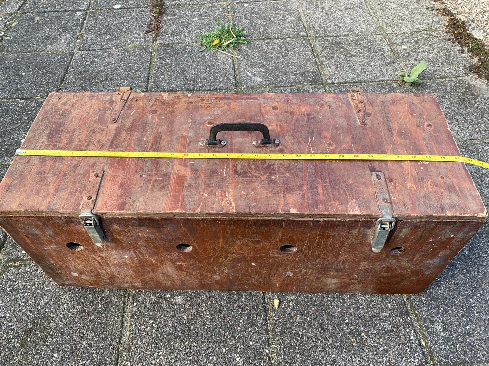 Duiven vervoer, Mannelijk, Postduif