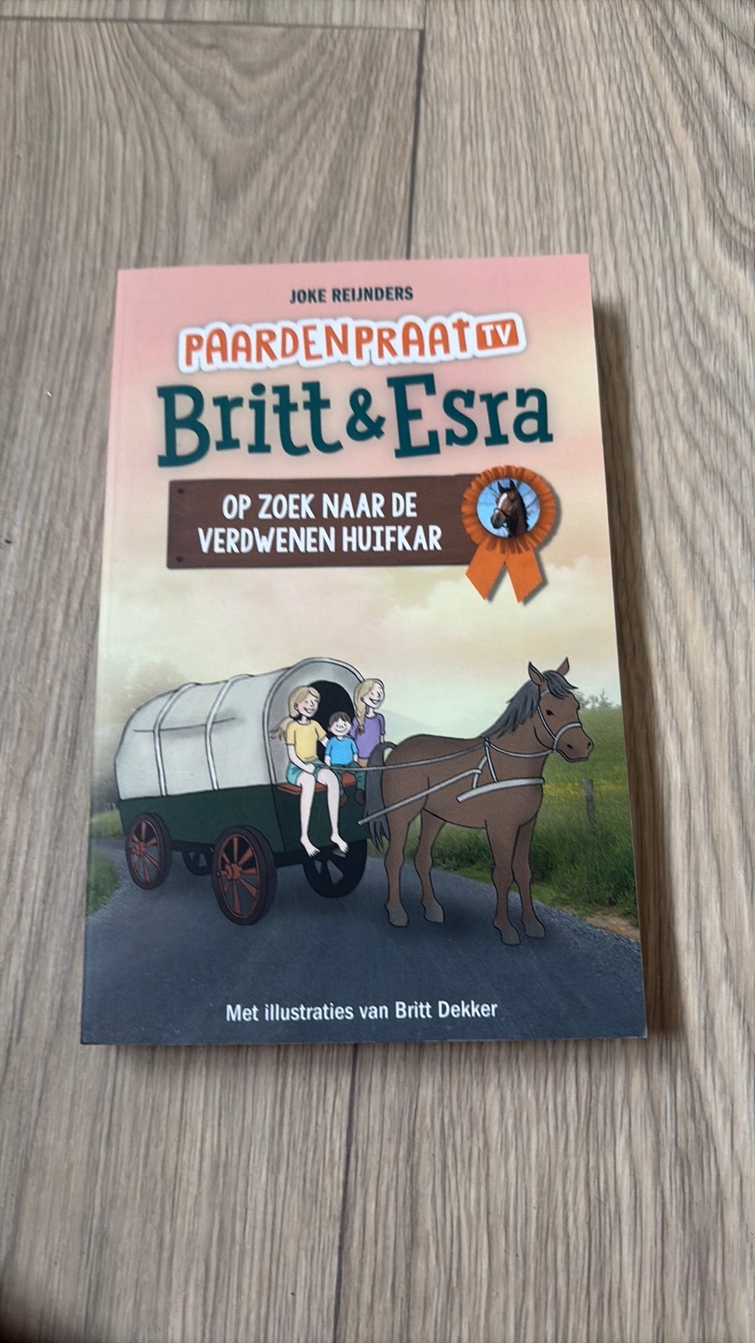 Joke Reijnders - Op zoek naar de verdwenen huifkar, Ophalen of Verzenden, Zo goed als nieuw, Joke Reijnders