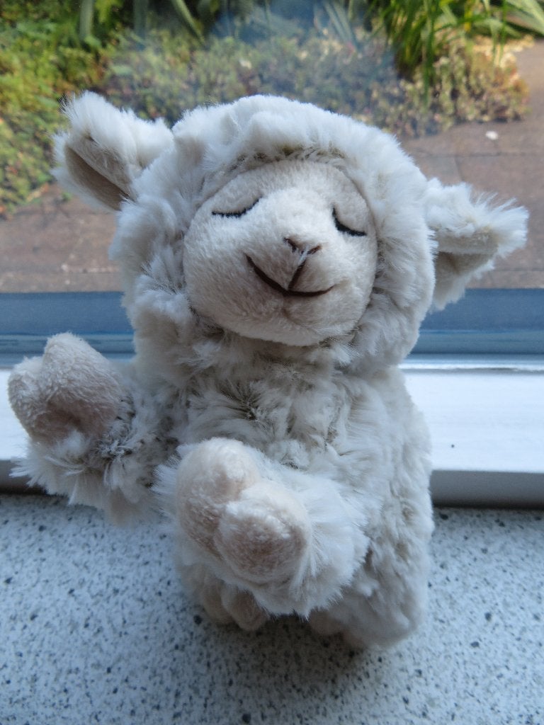 Schaap of schaapje merk PIA International Soft Toys, Ophalen of Verzenden, Zo goed als nieuw, Overige typen, Wasbaar