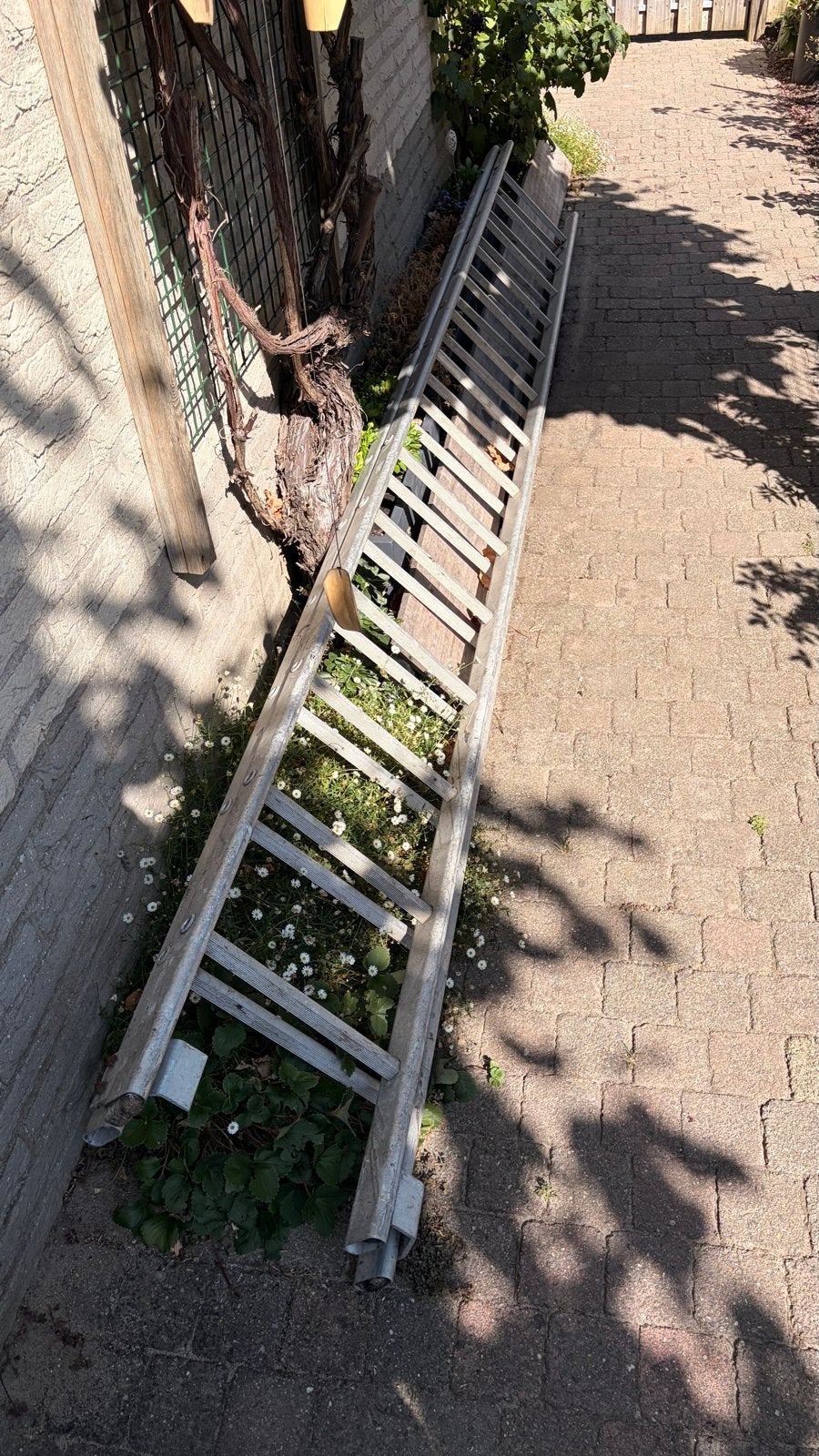 Dubbele ladder, uitschuifbaar tot 6 meter, Ophalen, Gebruikt, Ladder, Opvouwbaar of Inschuifbaar