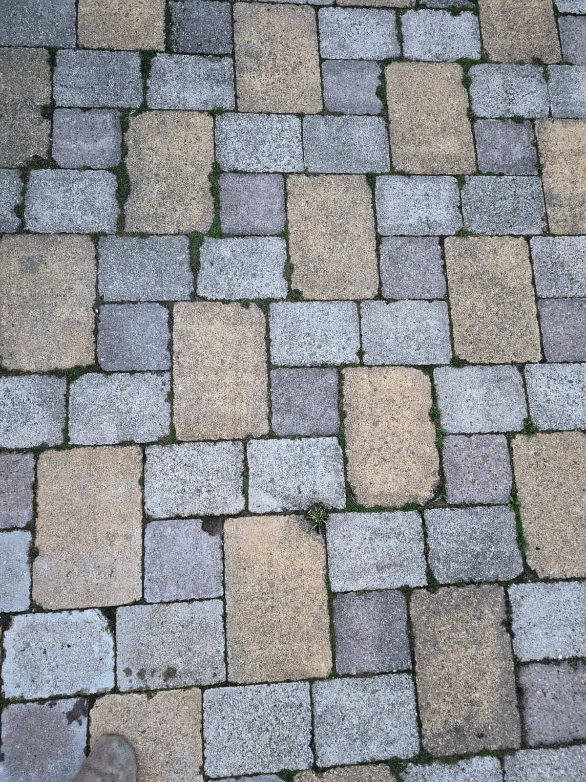 Gratis sierbestrating tuin, Tuin en Terras, Ophalen, Gebruikt, Overige typen, 5 tot 10 m²