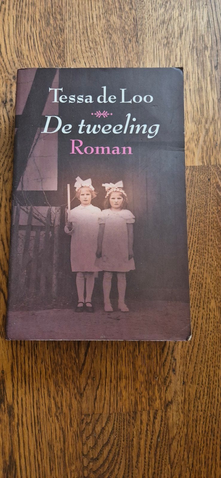 De Tweeling - Tessa de Loo (Roman), Ophalen of Verzenden, Gelezen, Tessa de Loo, Nederland