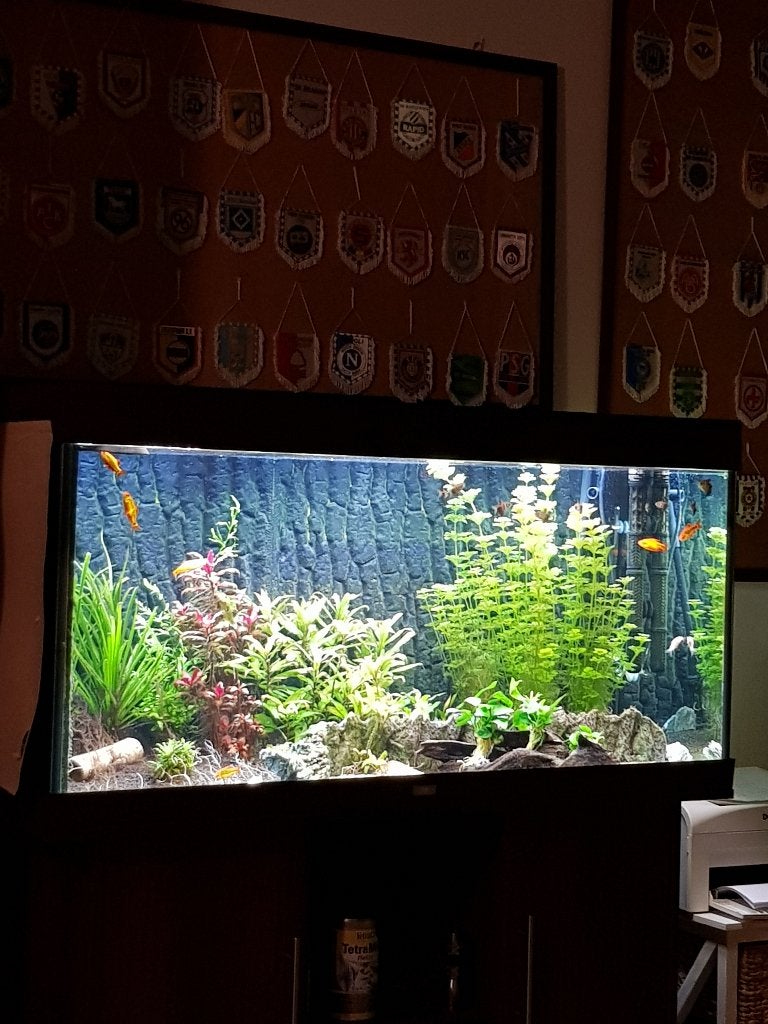 Juwel Rio 300 aquarium met meubel, Ophalen, Gebruikt, Leeg aquarium, Juwel