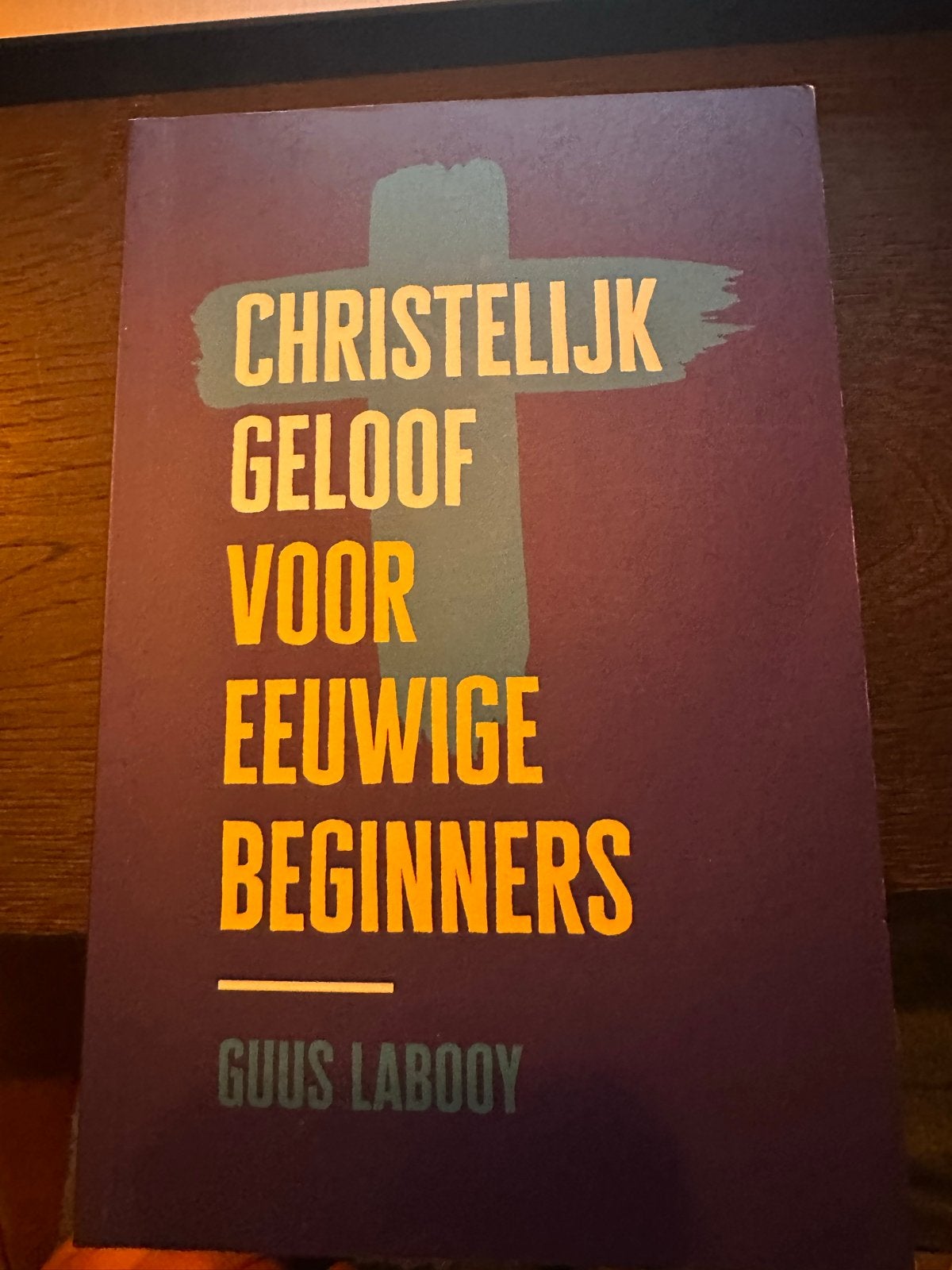 Christelijk Geloof voor Eeuwige Beginners - Guus Labooy, Boeken, Ophalen of Verzenden, Zo goed als nieuw, Christendom | Protestants