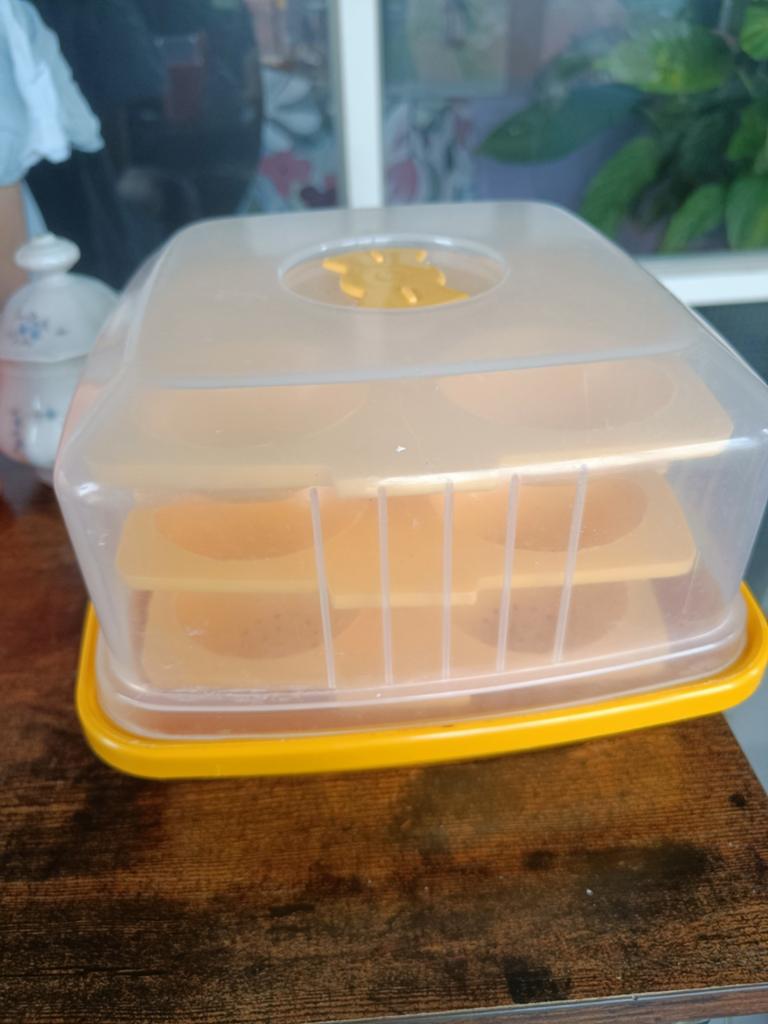 Idli maker - microwave steamer, Ophalen of Verzenden, Zo goed als nieuw, Overige typen