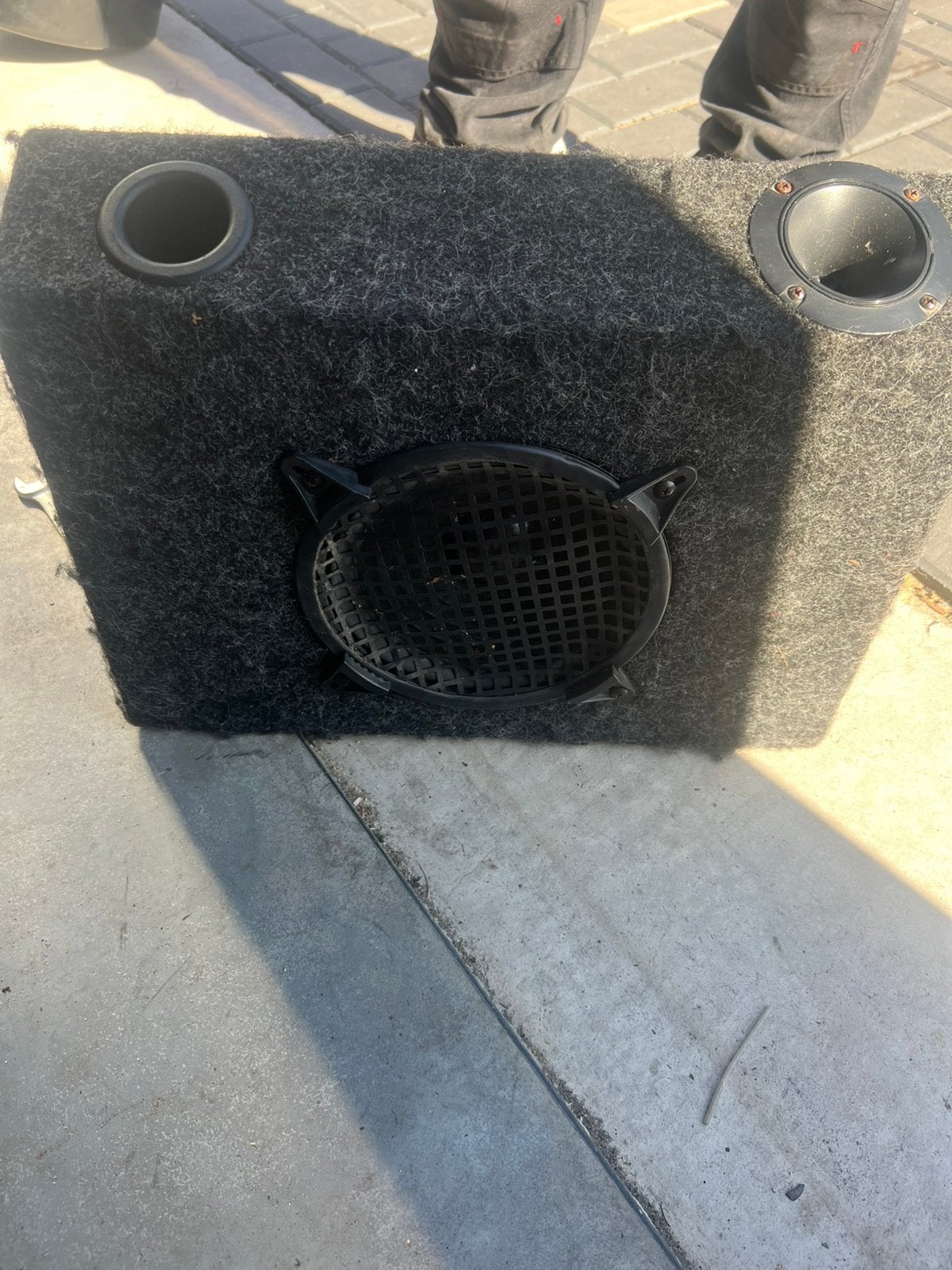 Pioneer TSW-8002 Subwoofer (8 inch), Ophalen, Gebruikt