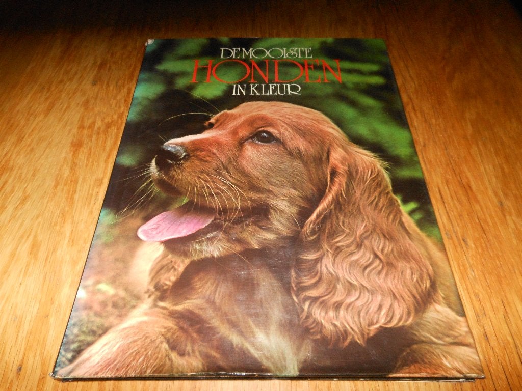 De mooiste honden in kleur, Ophalen of Verzenden, Zo goed als nieuw, Honden