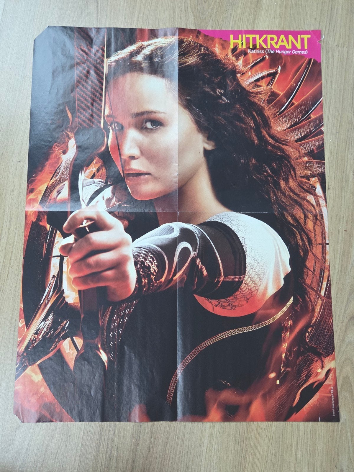 Hitkrant The Hunger Games Catching Fire Poster, Ophalen of Verzenden, A1 t/m A3, Film en Tv, Rechthoekig Staand