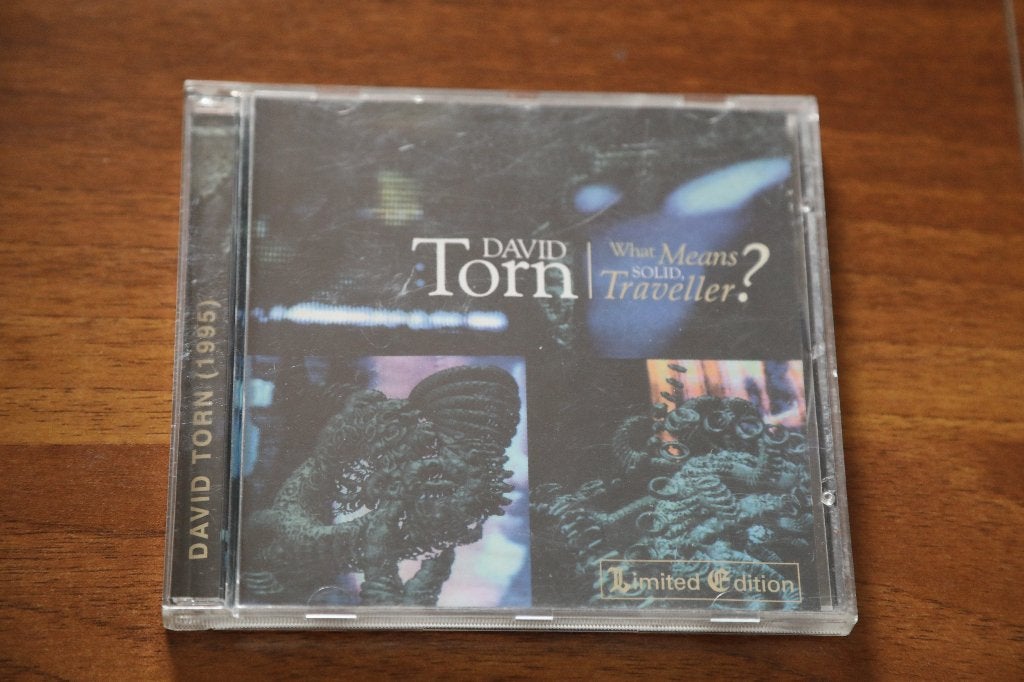 David Torn - What means solid, traveller? (jazz fusion), Gebruikt, Ophalen of Verzenden, Jazz, Album