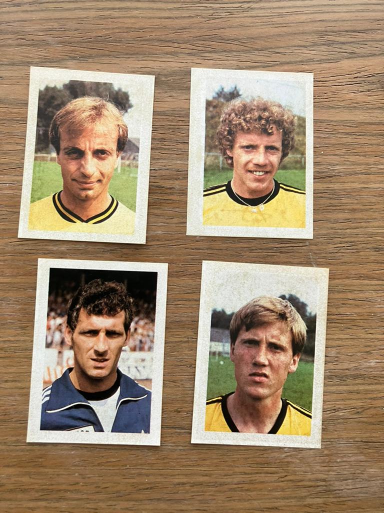 Roda jc panini vanderhout 1981-1982, Verzamelen, Ophalen of Verzenden, Zo goed als nieuw, Roda JC, Poster, Plaatje of Sticker