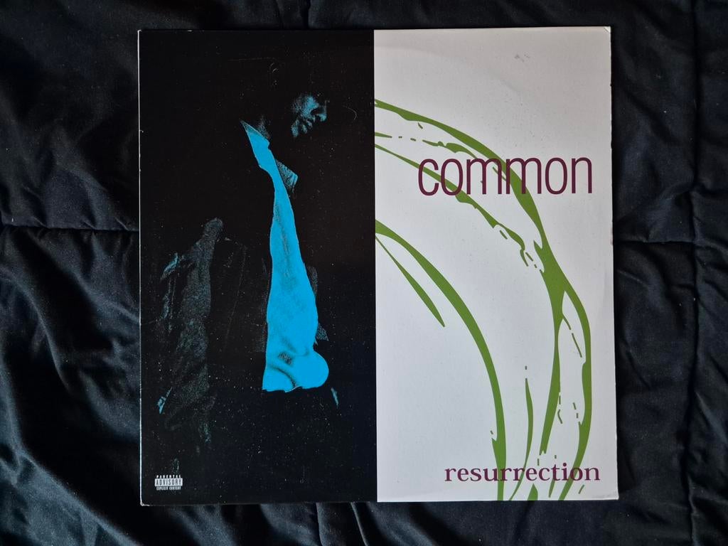 Common Sense - Resurrection LP, Ophalen of Verzenden
