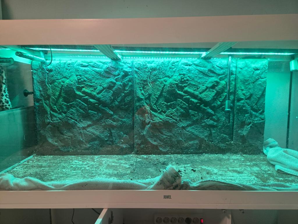 Juwel aquarium rio 400, Ophalen, Leeg aquarium