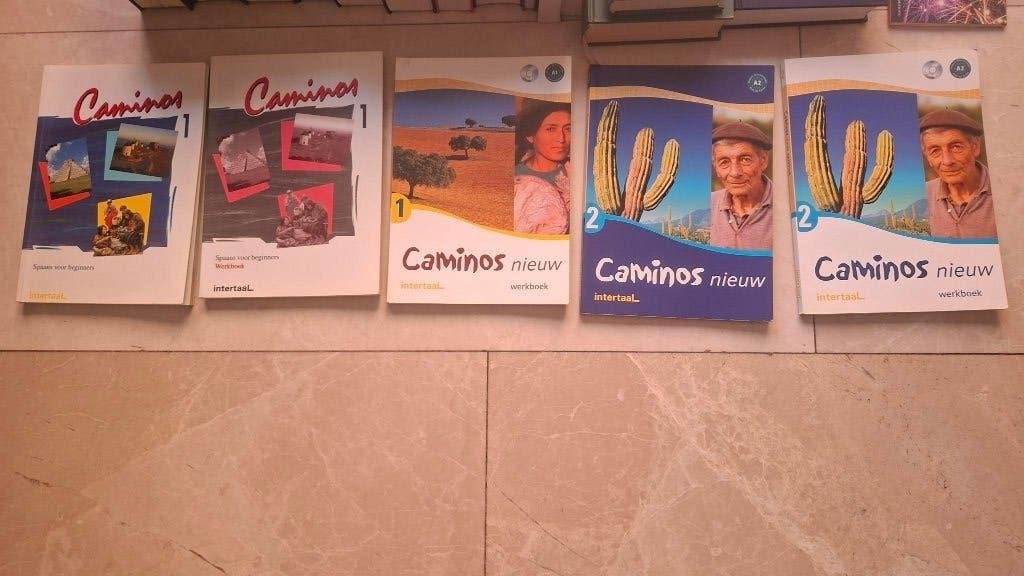 Spaanse lesboeken El Camino, Ophalen of Verzenden, Gelezen, Non-fictie