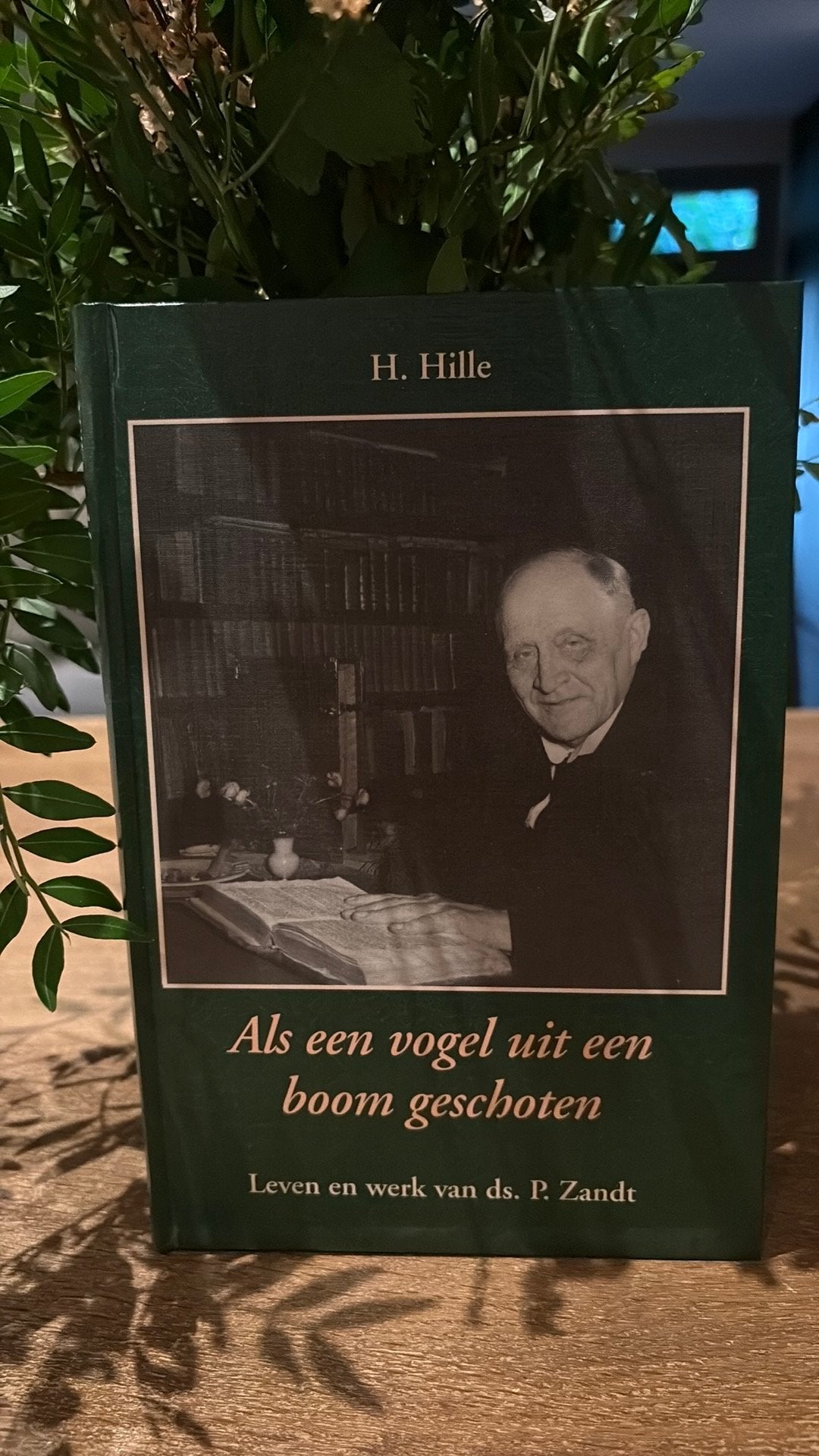 H. Hille - Als een vogel uit een boom geschoten. Ds P Zandt, Boeken, Ophalen of Verzenden, Zo goed als nieuw, H. Hille