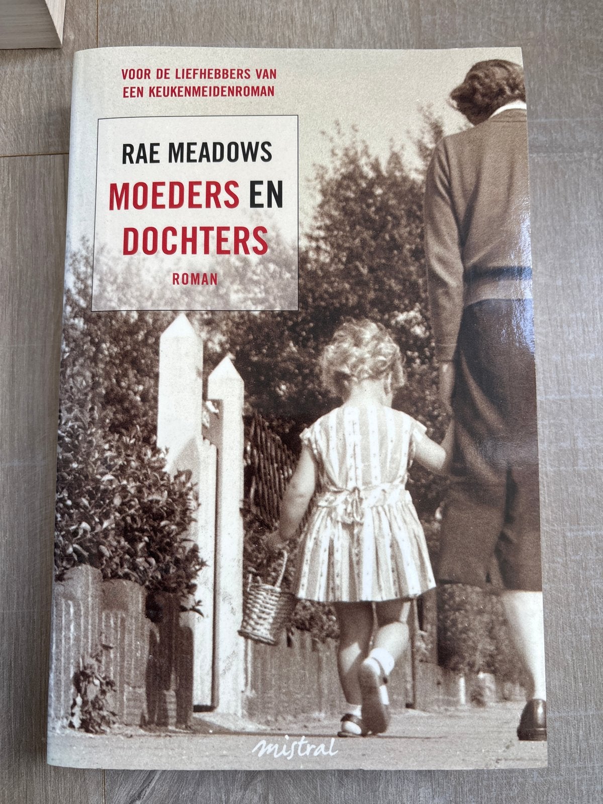 Mothers and Daughters - Rae Meadows (Roman), Ophalen of Verzenden, Gelezen, Nederland