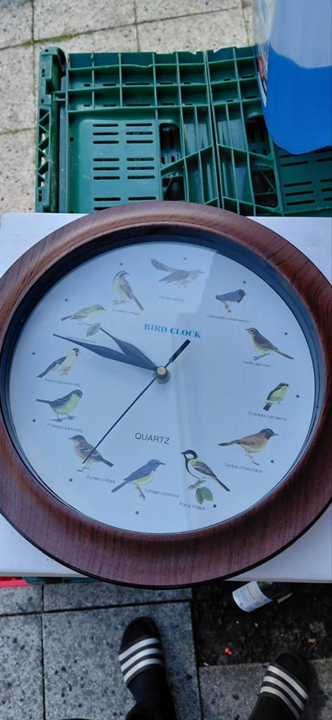 Unieke 'Bird Clock' wandklok met vogelafbeeldingen, Ophalen of Verzenden, Gebruikt, Analoog, Wandklok