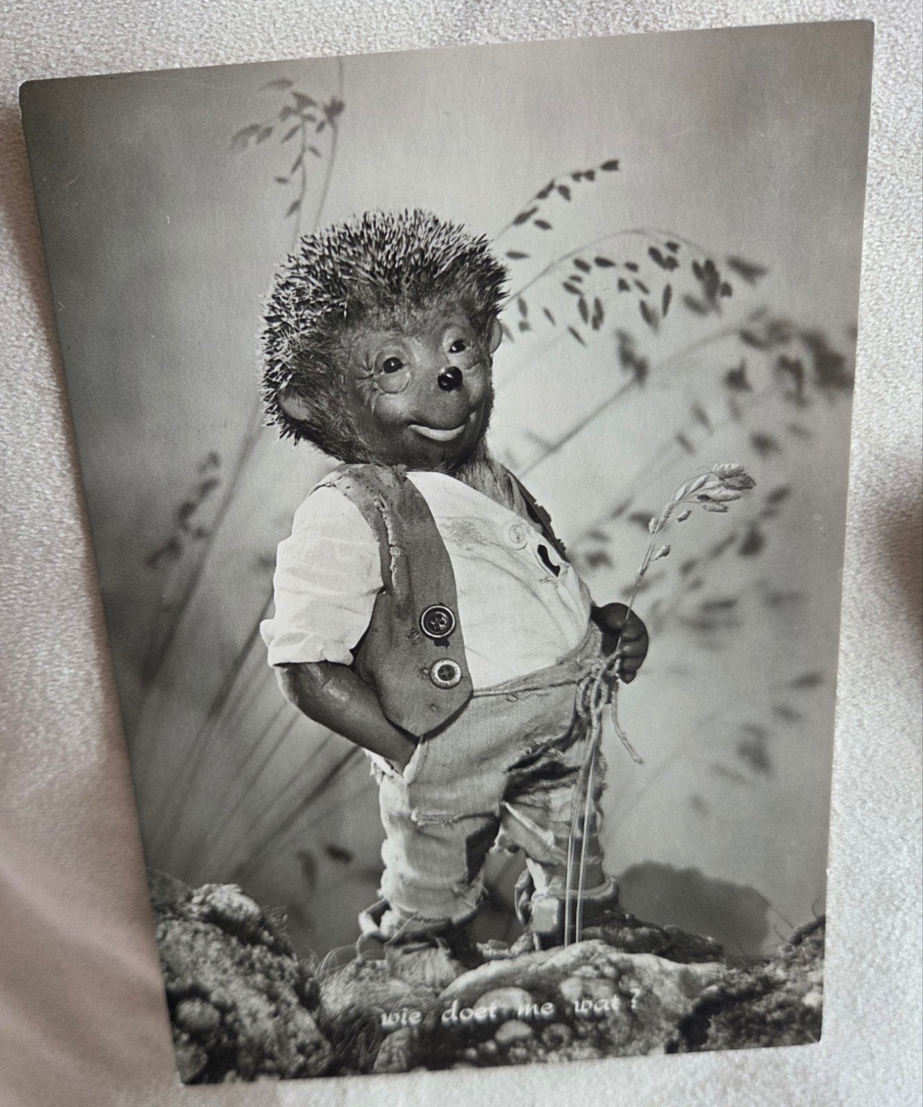 Vintage Egel Ansichtkaart, Verzenden, 1960 tot 1980, Ongelopen, Kinderen