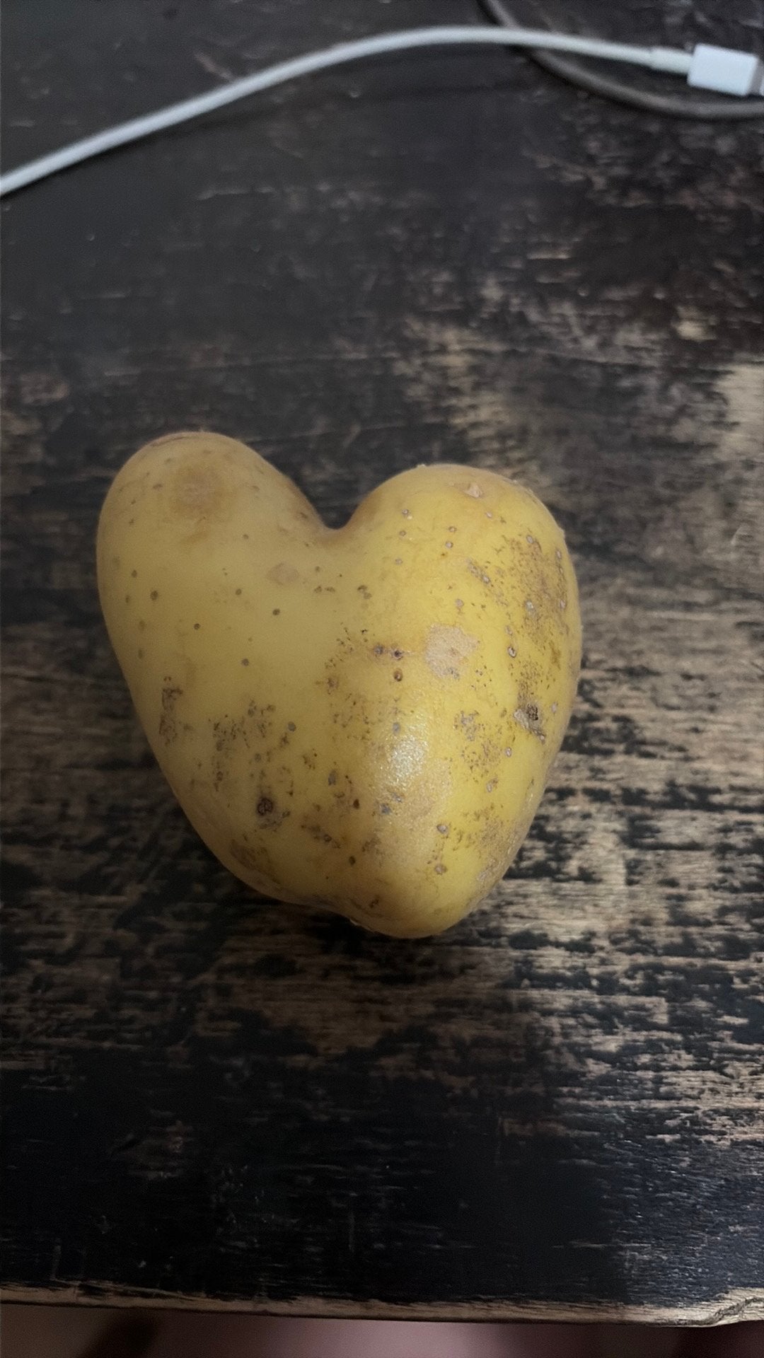 Aardappel hartvormig, Ophalen