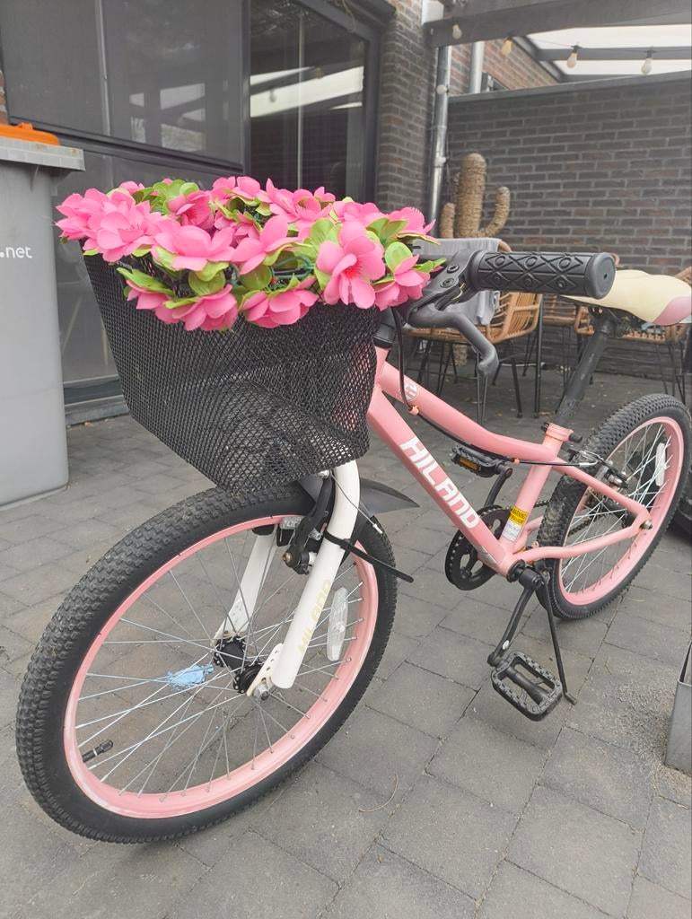20 inch meisjes mountainbike, Fietsen en Brommers, Fietsen | Meisjes, Ophalen, Gebruikt, 20 inch, Handrem