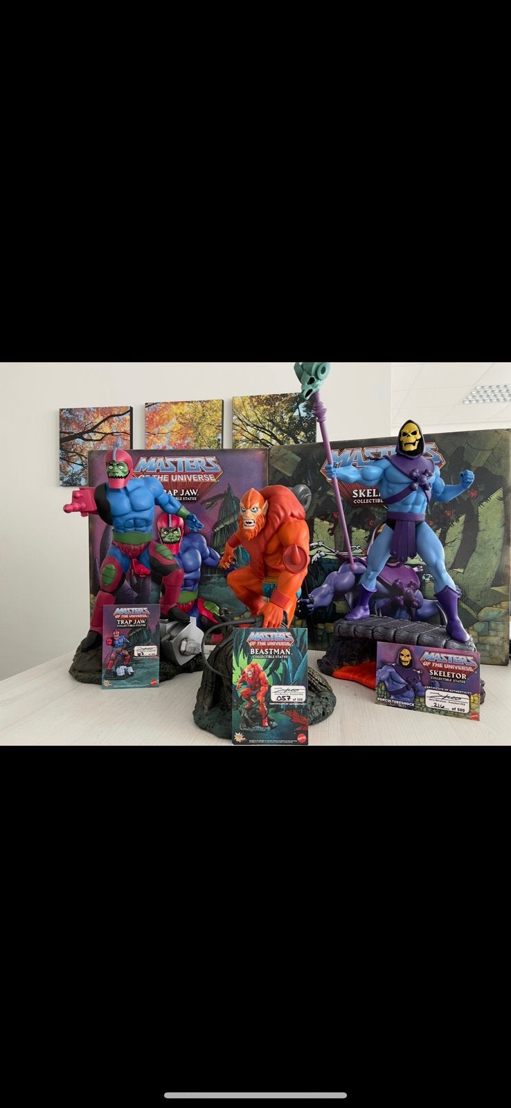 Masters of the Universe PCS Statues 1:4, Verzamelen, Ophalen of Verzenden, Zo goed als nieuw