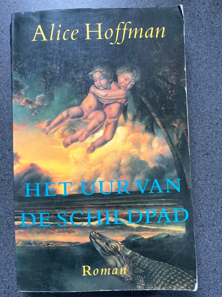 Het Uur van de Schildpad - Alice Hoffman, Ophalen of Verzenden, Zo goed als nieuw, Nederland